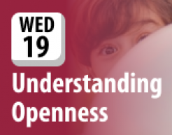Understanding Openness